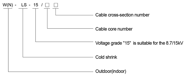 النموذج والمعنى 